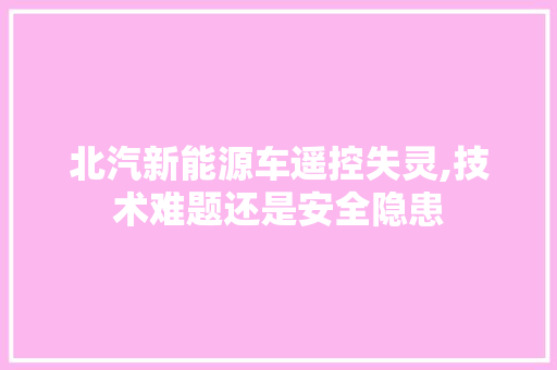 北汽新能源车遥控失灵,技术难题还是安全隐患