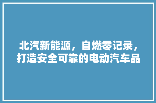 北汽新能源，自燃零记录，打造安全可靠的电动汽车品牌