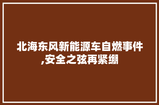 北海东风新能源车自燃事件,安全之弦再紧绷