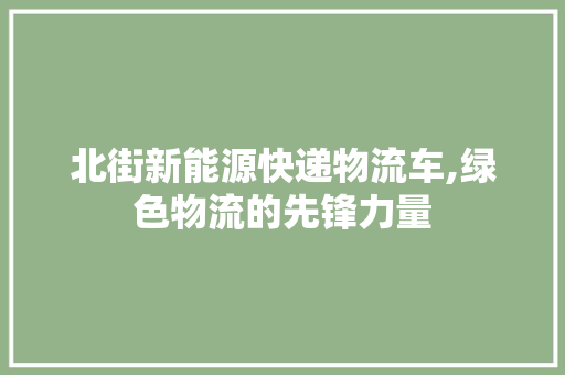 北街新能源快递物流车,绿色物流的先锋力量