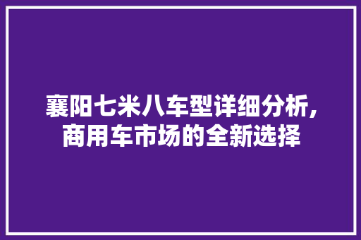 襄阳七米八车型详细分析,商用车市场的全新选择 新款车型