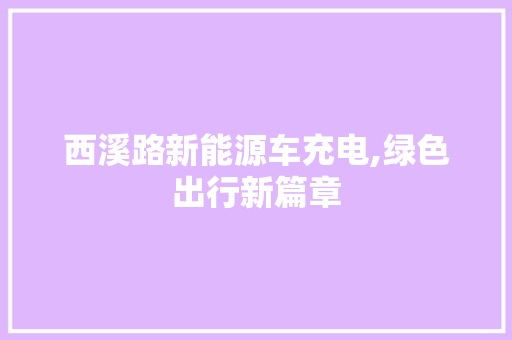 西溪路新能源车充电,绿色出行新篇章