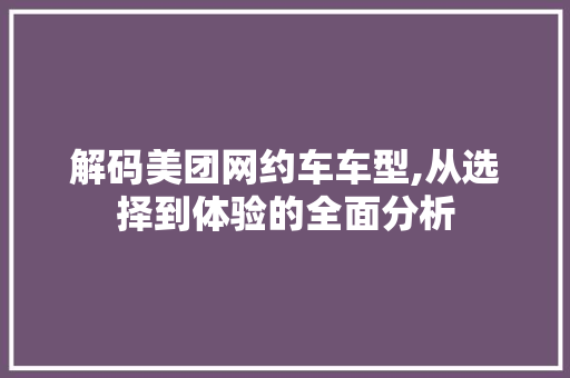解码美团网约车车型,从选择到体验的全面分析
