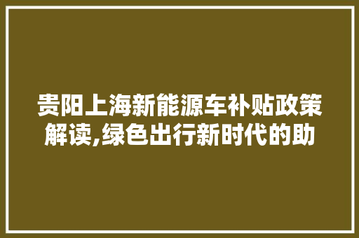 贵阳上海新能源车补贴政策解读,绿色出行新时代的助推器