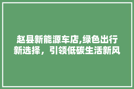 赵县新能源车店,绿色出行新选择，引领低碳生活新风尚