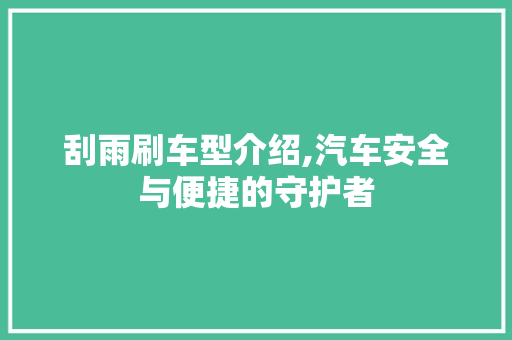 刮雨刷车型介绍,汽车安全与便捷的守护者 汽车配件