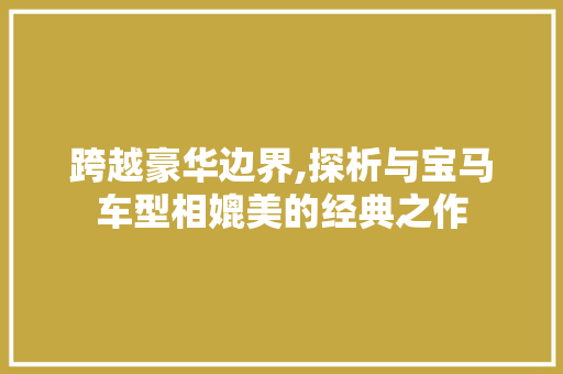 跨越豪华边界,探析与宝马车型相媲美的经典之作