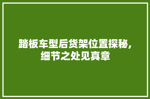 踏板车型后货架位置探秘,细节之处见真章