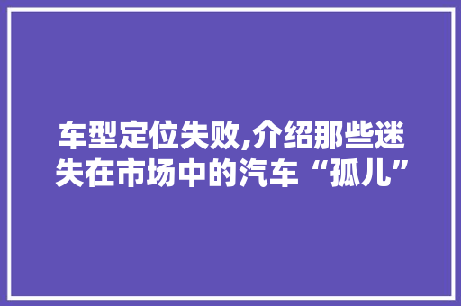 车型定位失败,介绍那些迷失在市场中的汽车“孤儿”