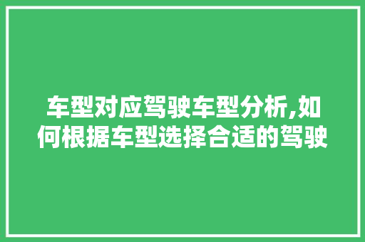 车型对应驾驶车型分析,如何根据车型选择合适的驾驶方式
