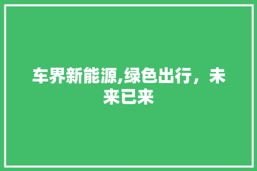 车界新能源,绿色出行，未来已来