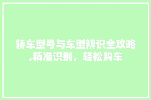 轿车型号与车型辨识全攻略,精准识别，轻松购车