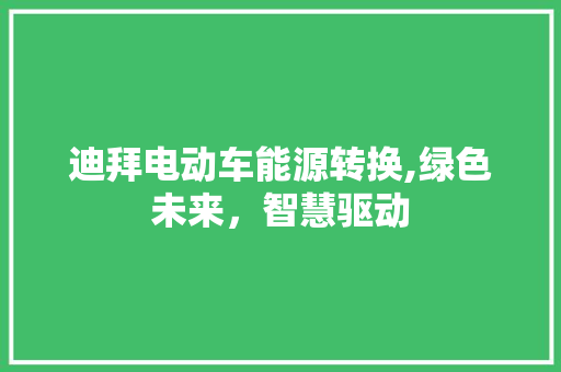 迪拜电动车能源转换,绿色未来，智慧驱动