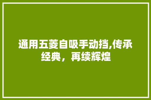 通用五菱自吸手动挡,传承经典，再续辉煌