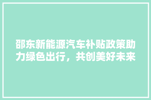 邵东新能源汽车补贴政策助力绿色出行，共创美好未来