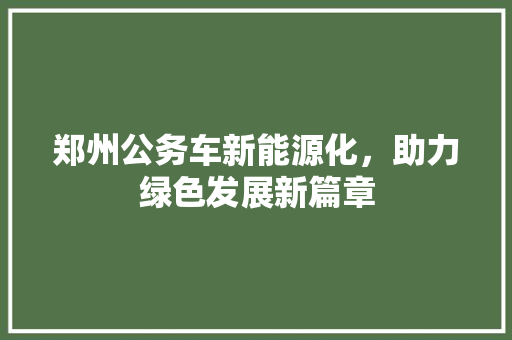 郑州公务车新能源化，助力绿色发展新篇章 底盘配件