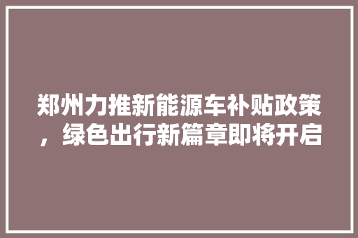 郑州力推新能源车补贴政策，绿色出行新篇章即将开启 变速箱配件