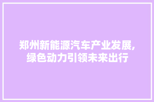 郑州新能源汽车产业发展,绿色动力引领未来出行