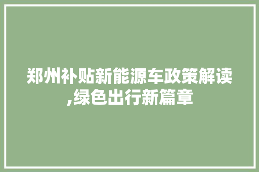 郑州补贴新能源车政策解读,绿色出行新篇章