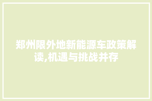 郑州限外地新能源车政策解读,机遇与挑战并存