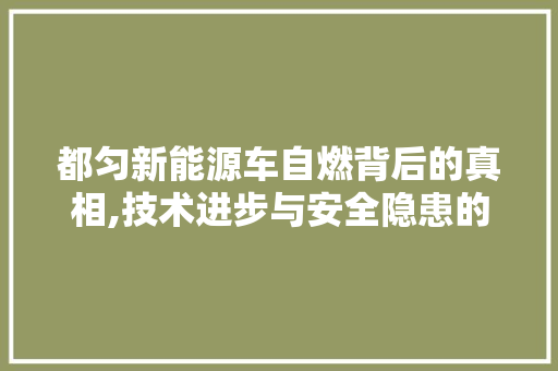 都匀新能源车自燃背后的真相,技术进步与安全隐患的博弈