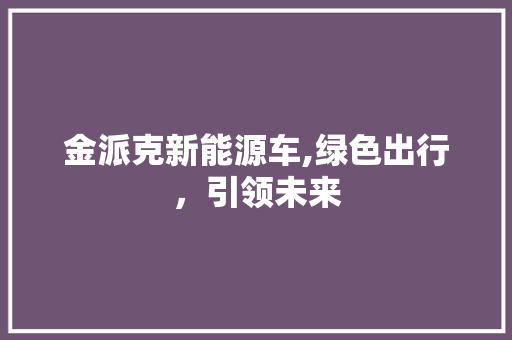金派克新能源车,绿色出行，引领未来