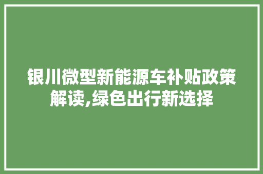 银川微型新能源车补贴政策解读,绿色出行新选择