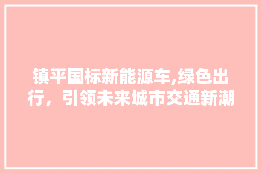 镇平国标新能源车,绿色出行，引领未来城市交通新潮流