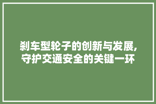 刹车型轮子的创新与发展,守护交通安全的关键一环