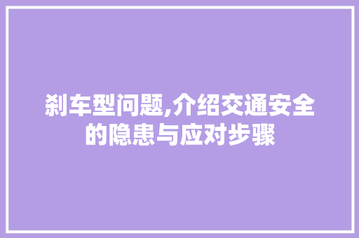 刹车型问题,介绍交通安全的隐患与应对步骤