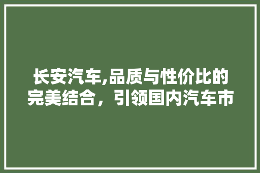 长安汽车,品质与性价比的完美结合，引领国内汽车市场新潮流