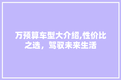 万预算车型大介绍,性价比之选，驾驭未来生活