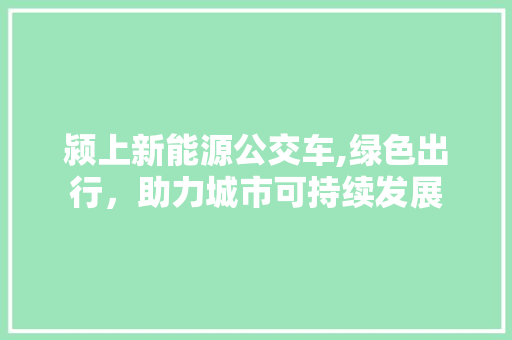 颍上新能源公交车,绿色出行，助力城市可持续发展