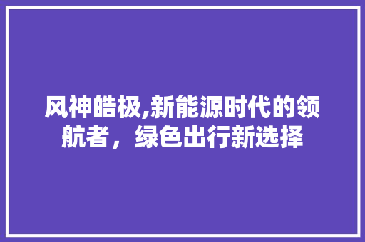 风神皓极,新能源时代的领航者，绿色出行新选择
