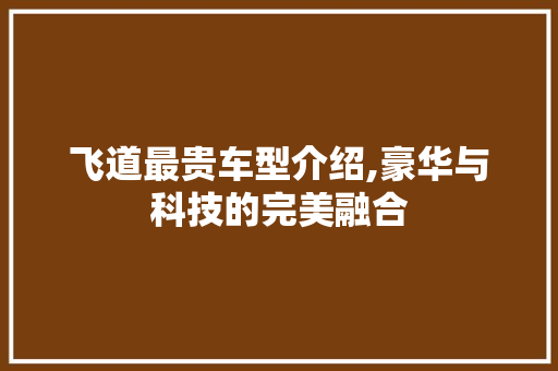 飞道最贵车型介绍,豪华与科技的完美融合 变速箱配件