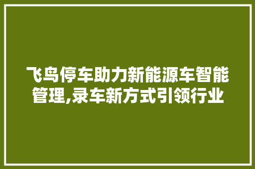飞鸟停车助力新能源车智能管理,录车新方式引领行业新潮流
