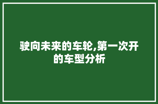 驶向未来的车轮,第一次开的车型分析 车灯配件