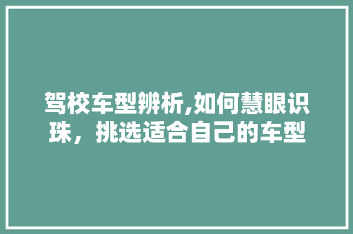 驾校车型辨析,如何慧眼识珠，挑选适合自己的车型