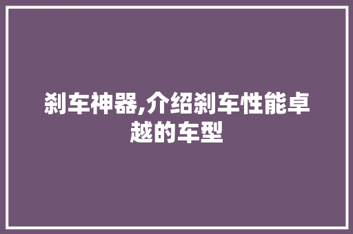 刹车神器,介绍刹车性能卓越的车型