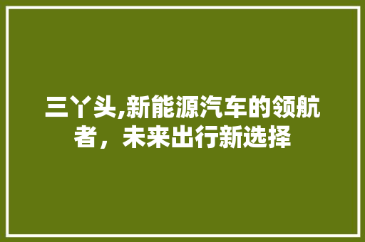 三丫头,新能源汽车的领航者，未来出行新选择 新能源汽车