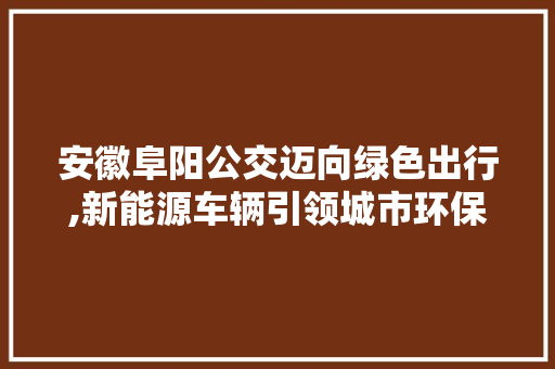 安徽阜阳公交迈向绿色出行,新能源车辆引领城市环保新风尚