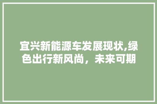 宜兴新能源车发展现状,绿色出行新风尚，未来可期