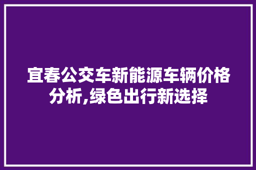 宜春公交车新能源车辆价格分析,绿色出行新选择 蓄电池配件