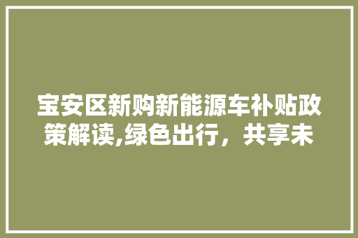 宝安区新购新能源车补贴政策解读,绿色出行，共享未来 底盘配件