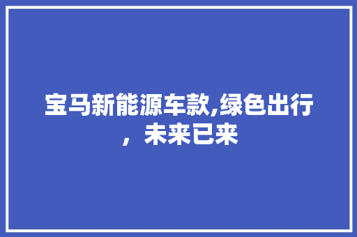 宝马新能源车款,绿色出行，未来已来