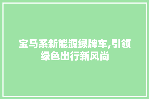 宝马系新能源绿牌车,引领绿色出行新风尚 车身配件