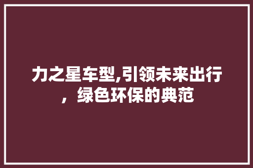 力之星车型,引领未来出行，绿色环保的典范