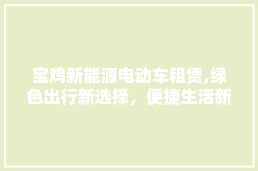 宝鸡新能源电动车租赁,绿色出行新选择，便捷生活新篇章
