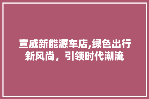 宣威新能源车店,绿色出行新风尚，引领时代潮流