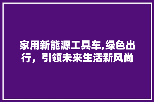 家用新能源工具车,绿色出行，引领未来生活新风尚